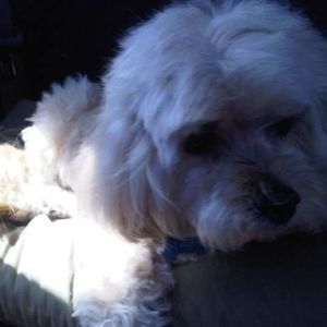 Meet your Posher, Gail